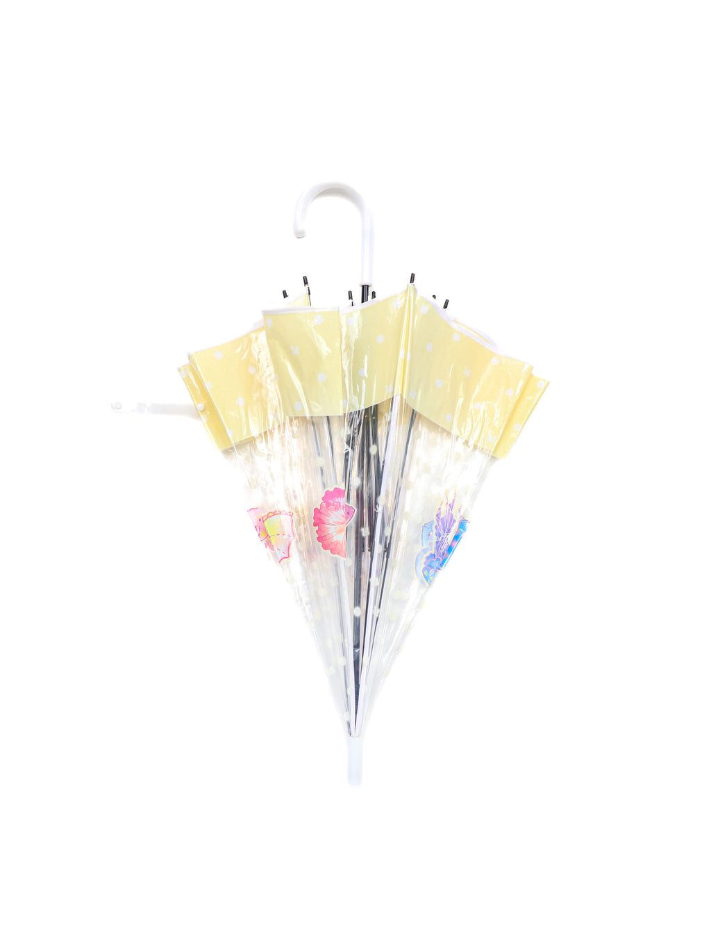 *Transparent umbrella fish in the ocean world