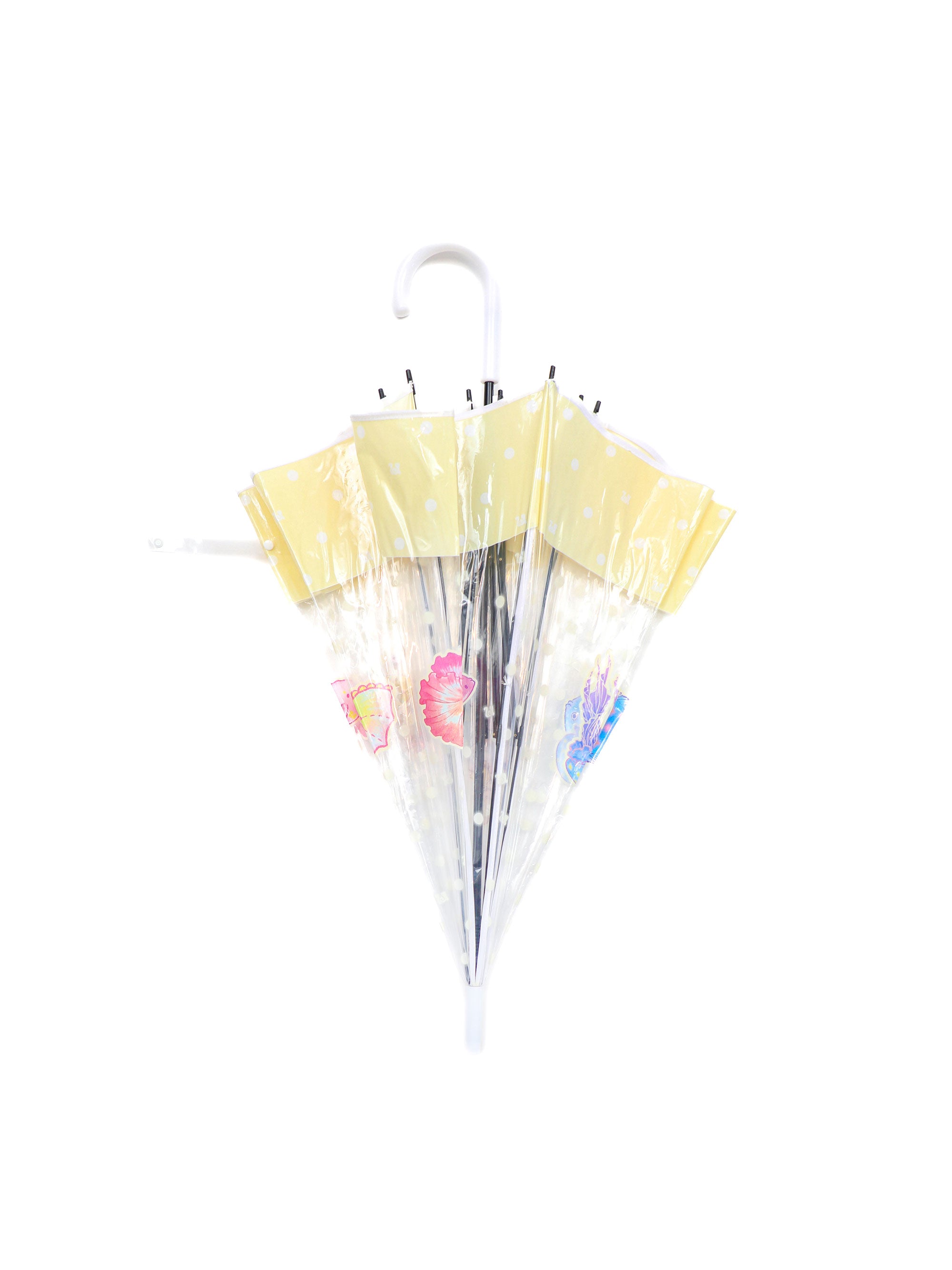 *Transparent umbrella fish in the ocean world