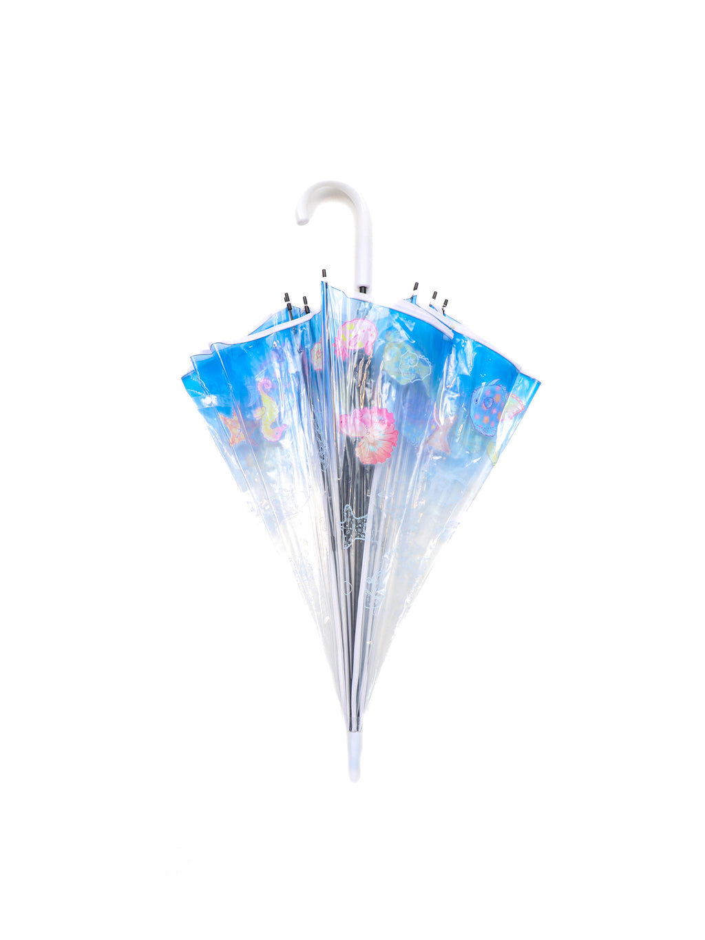 *Transparent umbrella fish in the ocean world