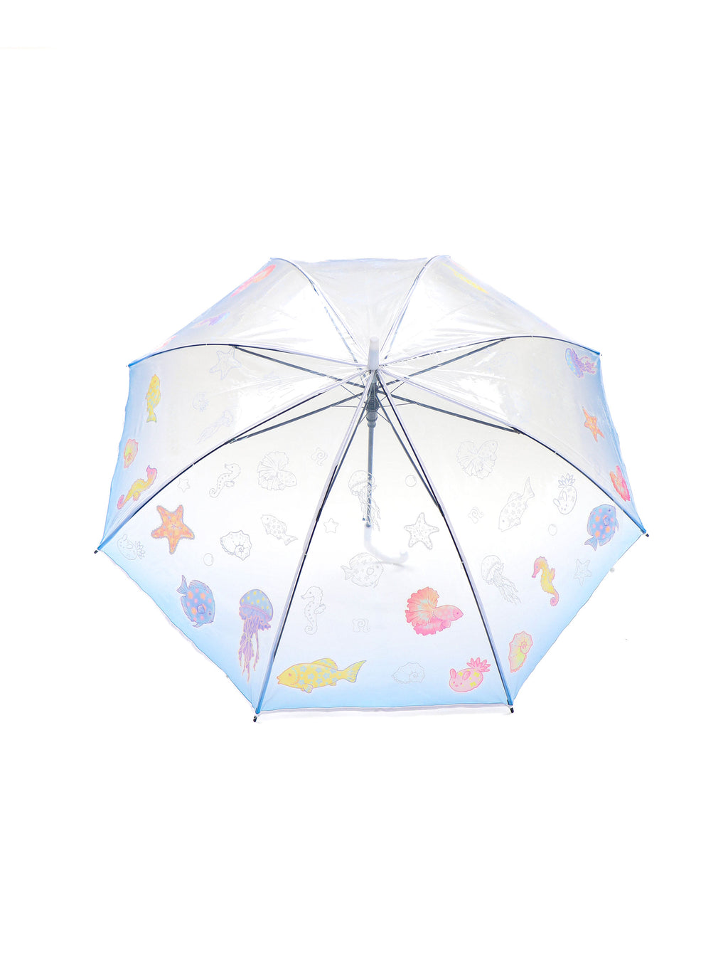 *Transparent umbrella fish in the ocean world