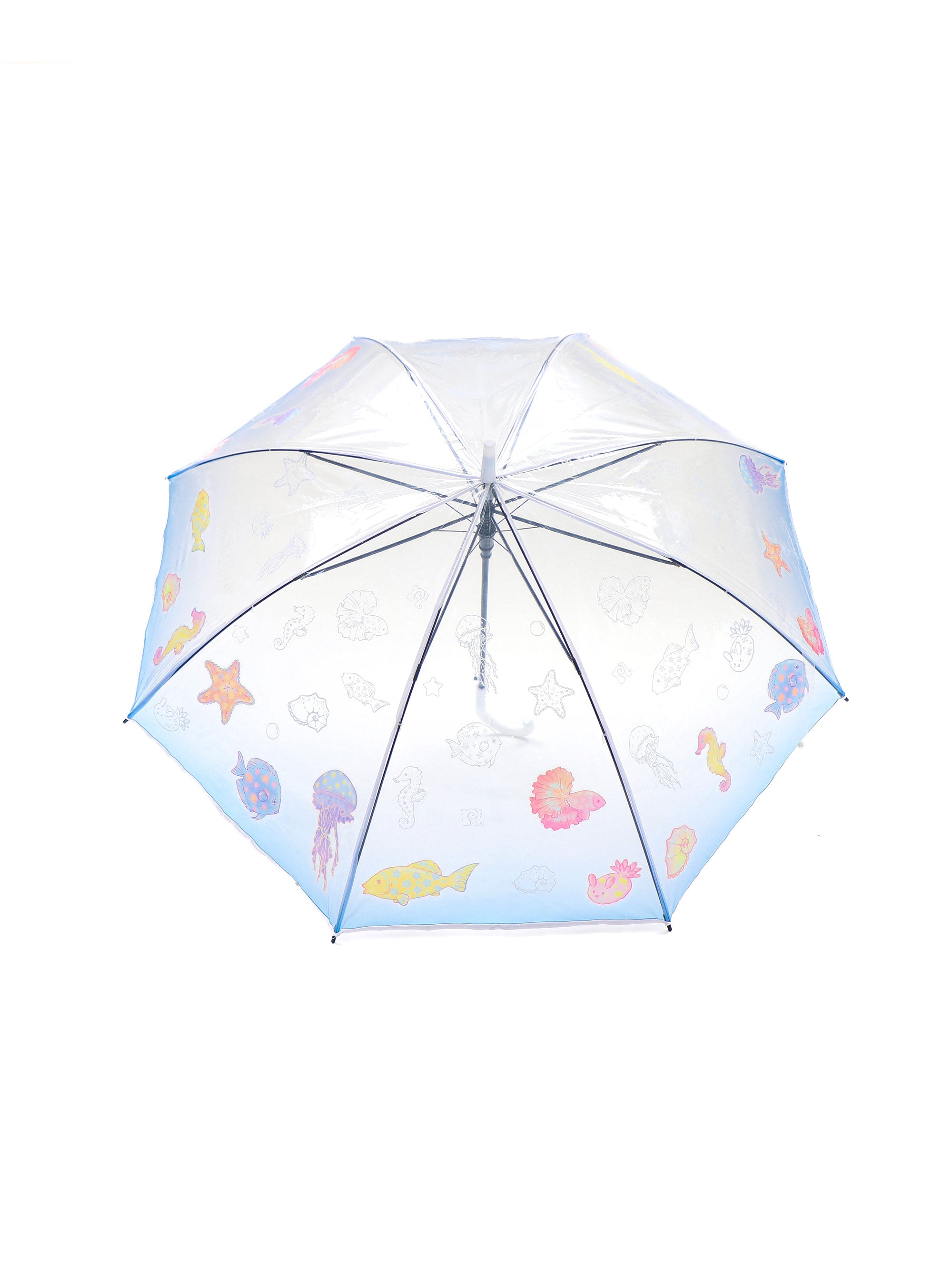 *Transparent umbrella fish in the ocean world