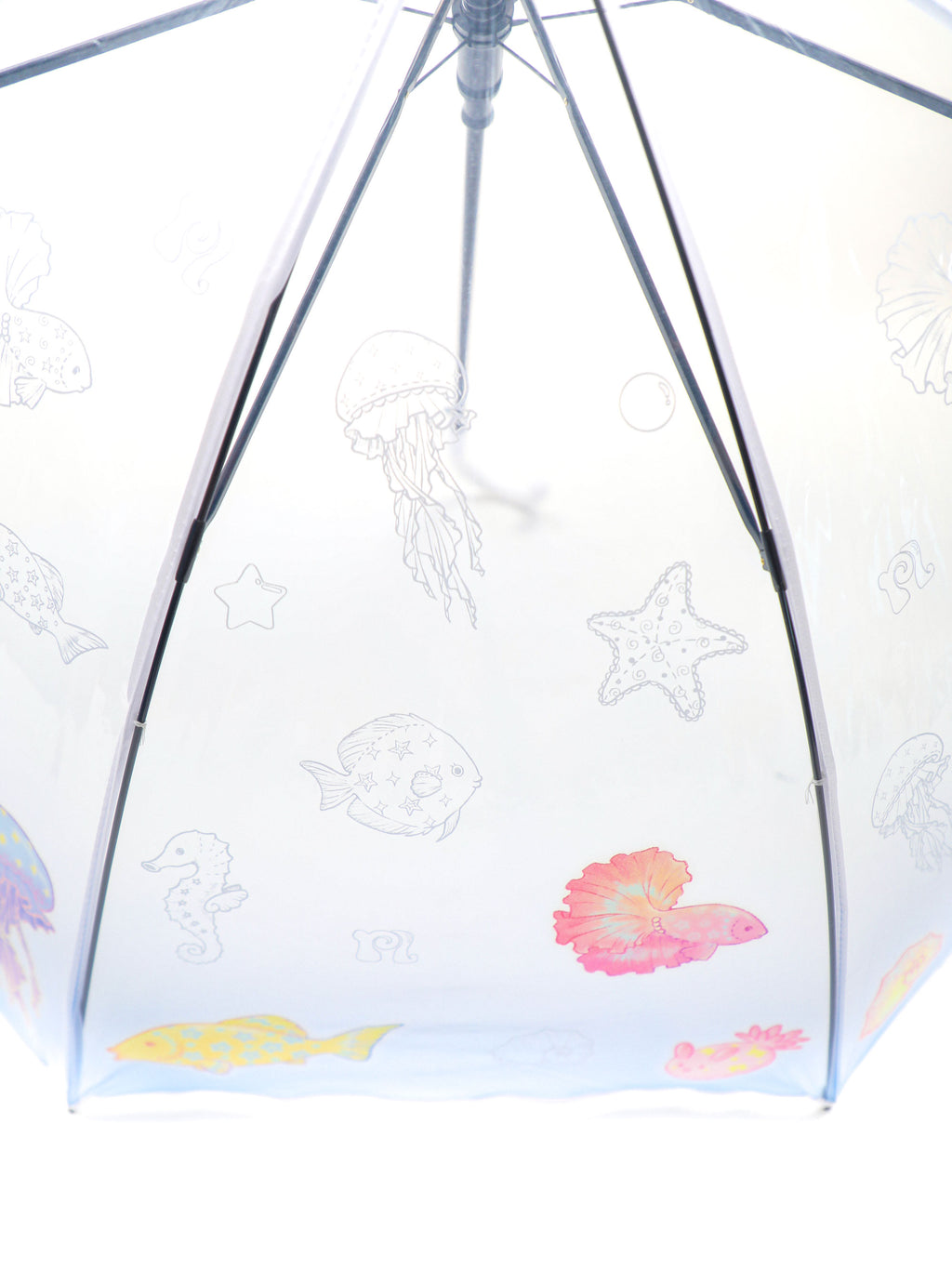 *Transparent umbrella fish in the ocean world