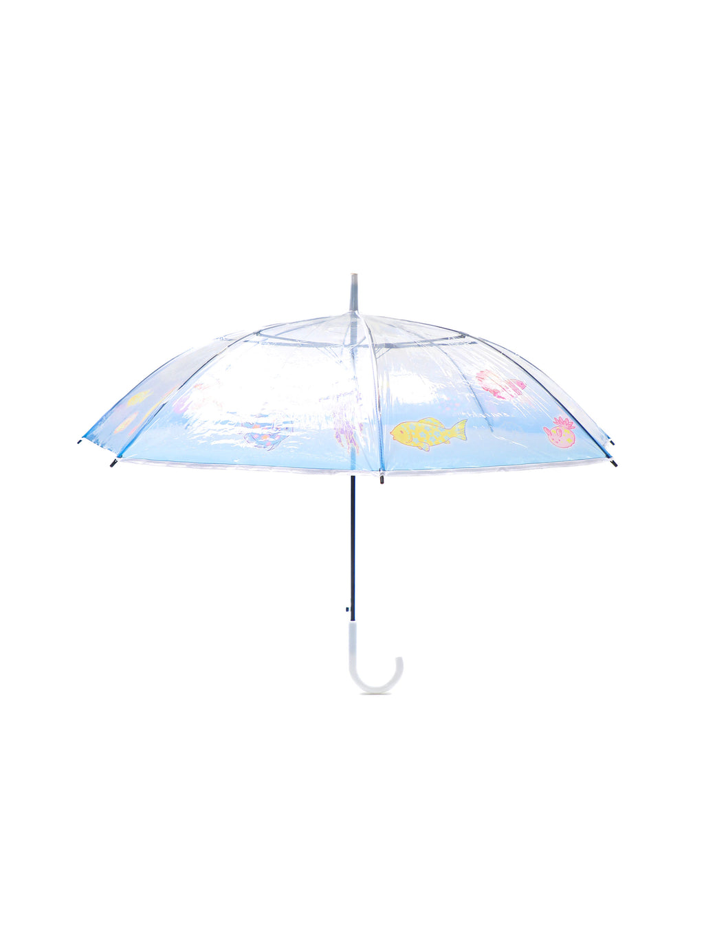 *Transparent umbrella fish in the ocean world