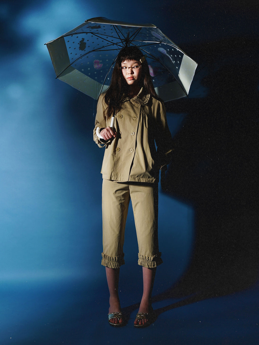 *Transparent umbrella fish in the ocean world